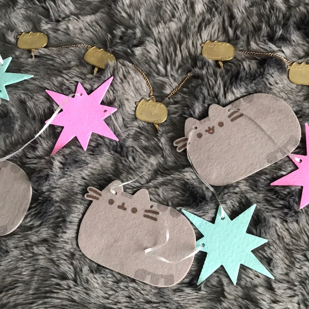 🎀 Pusheen Picture Chain AND Party Garland 🎀